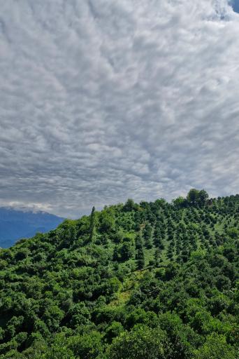 عکس خسادان سفلی