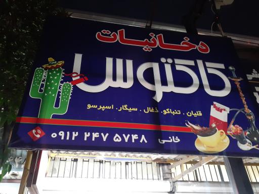 عکس دخانیات کاکتوس