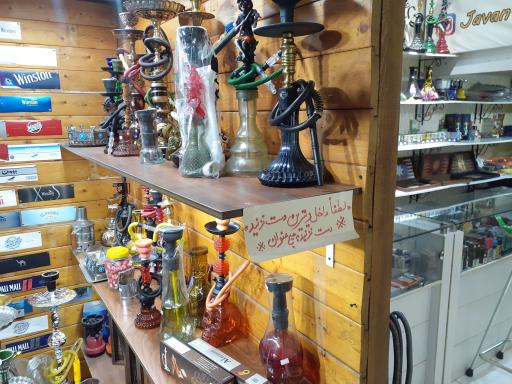 عکس دخانیات کاکتوس