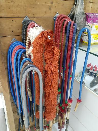 عکس دخانیات کاکتوس