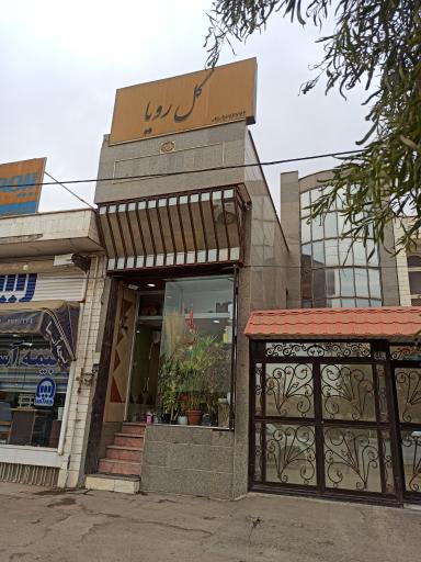 عکس گل رویا