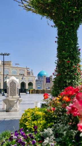 عکس مسجد جامع گوهرشاد
