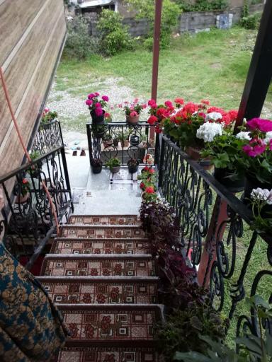 عکس ویلای گل شمعدونی