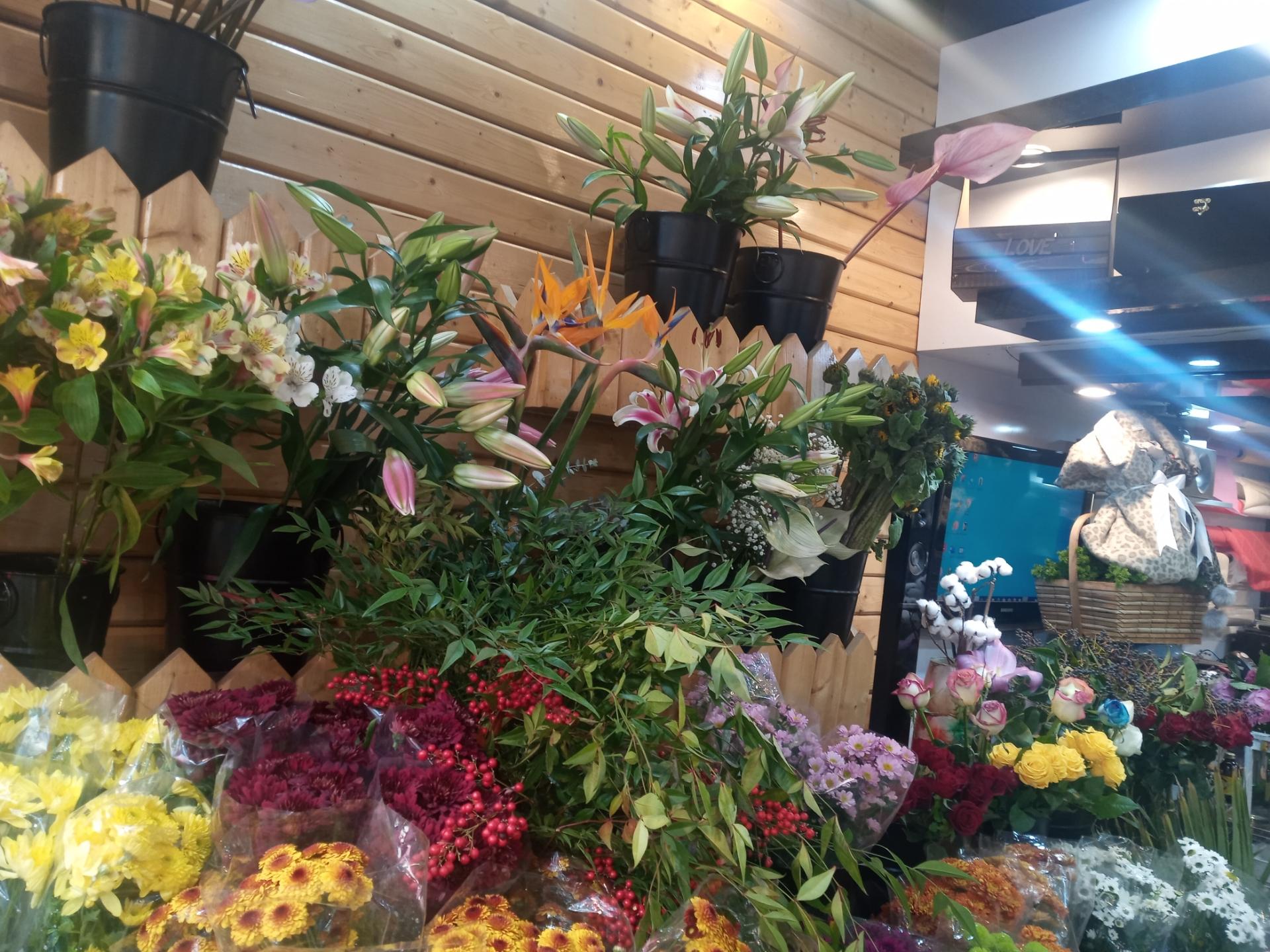 عکس گل فروشی رگال