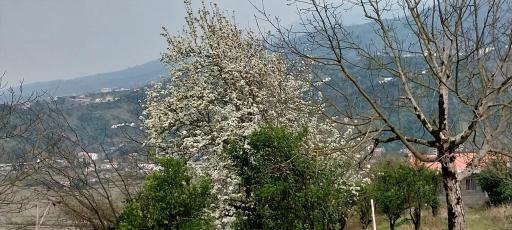 عکس خسادان سفلی