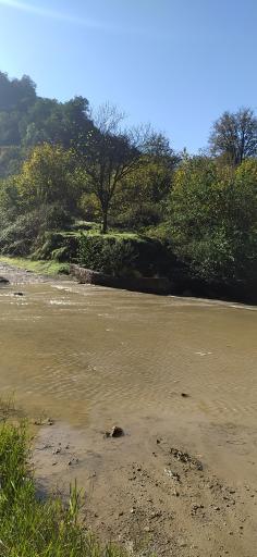 عکس پارک جنگلی مهربان رود