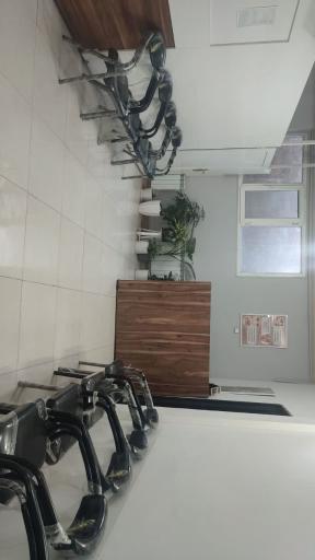 عکس دکتر بهجت مهدی زاده