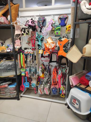 عکس پت شاپ و پانسیون افروپت