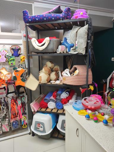 عکس پت شاپ و پانسیون افروپت