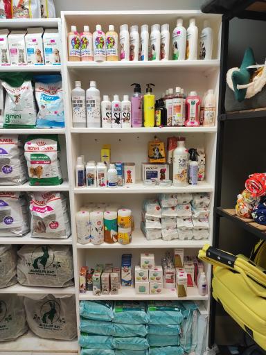 عکس پت شاپ و پانسیون افروپت