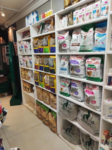 پت شاپ و پانسیون افروپت