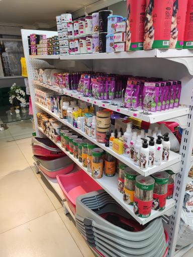 پت شاپ و پانسیون افروپت