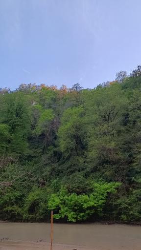 عکس پارک جنگلی مهربان رود