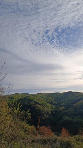 عکس پارک جنگلی مهربان رود