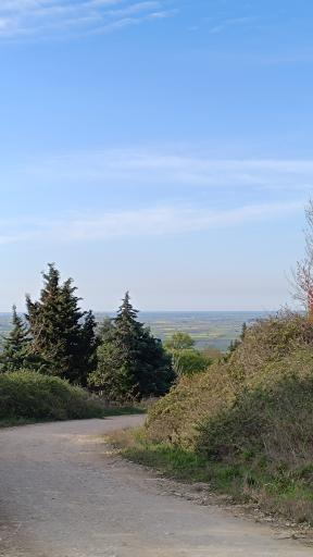 عکس پارک جنگلی مهربان رود