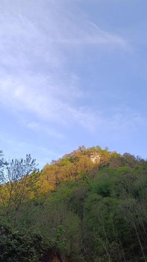 عکس پارک جنگلی مهربان رود