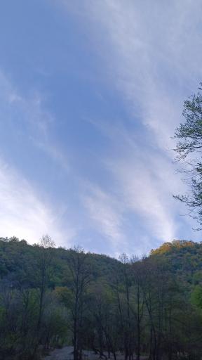 عکس پارک جنگلی مهربان رود