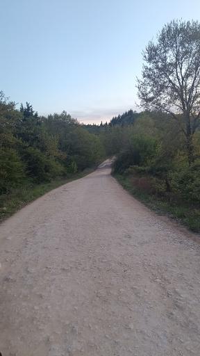 عکس پارک جنگلی مهربان رود