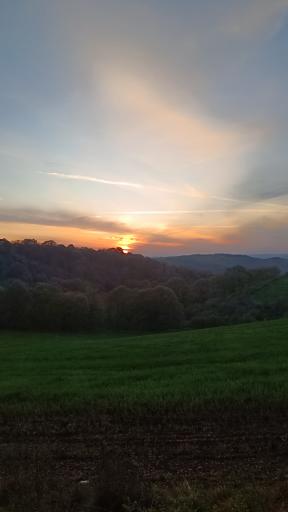 عکس پارک جنگلی مهربان رود