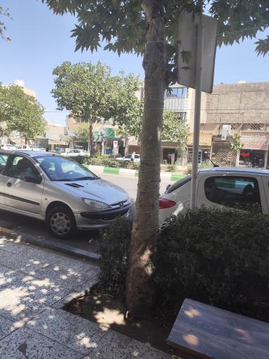 عکس  دانش آموز 22