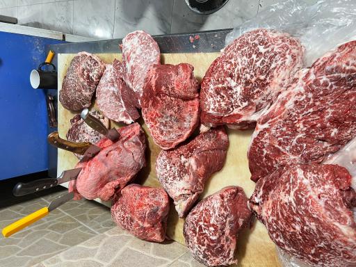 عکس کبابی گوک