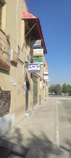 عکس دکتر عباس رضویان، متخصص داخلی