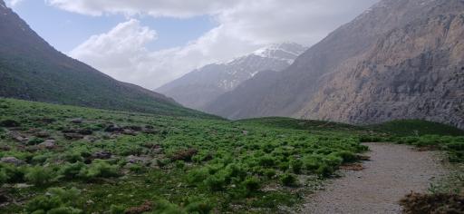 عکس سی سخت