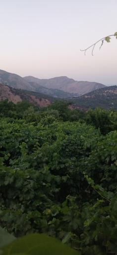 عکس سی سخت