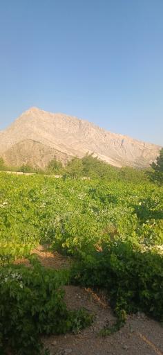 عکس سی سخت