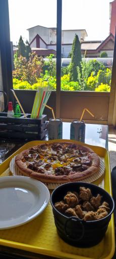 عکس چای باغ شبستان