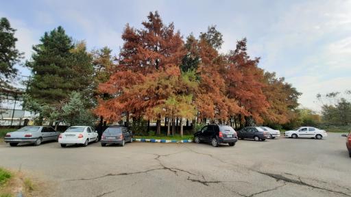 عکس مدیریت جهاد کشاورزی شهرستان رشت