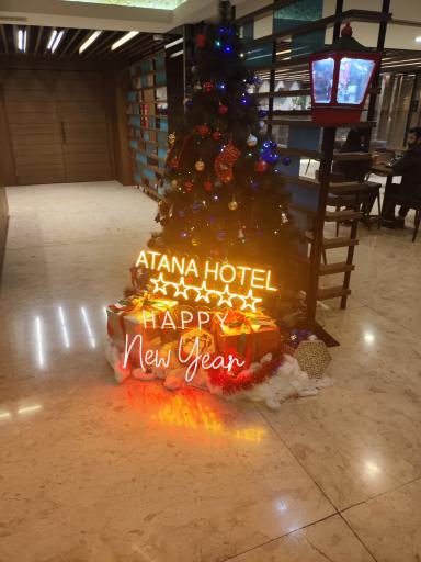 عکس هتل بزرگ آتانا