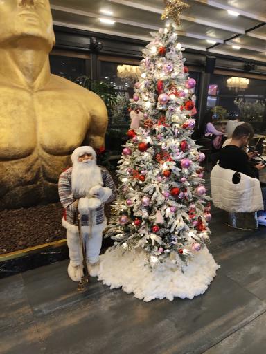 عکس هتل بزرگ آتانا