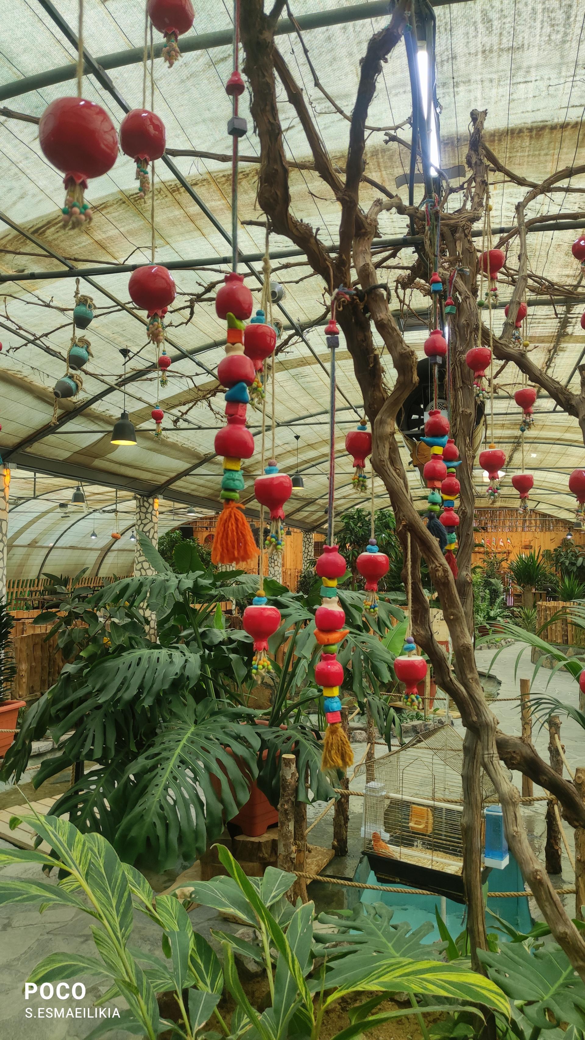 عکس مجموعه پذیرایی گل انار میبد