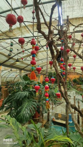 عکس رستوران گل انار میبد