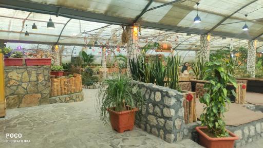 عکس رستوران گل انار میبد