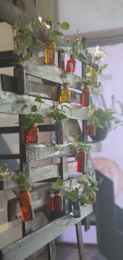 عکس فروشگاه قهوه و شکلات آقای کالدی