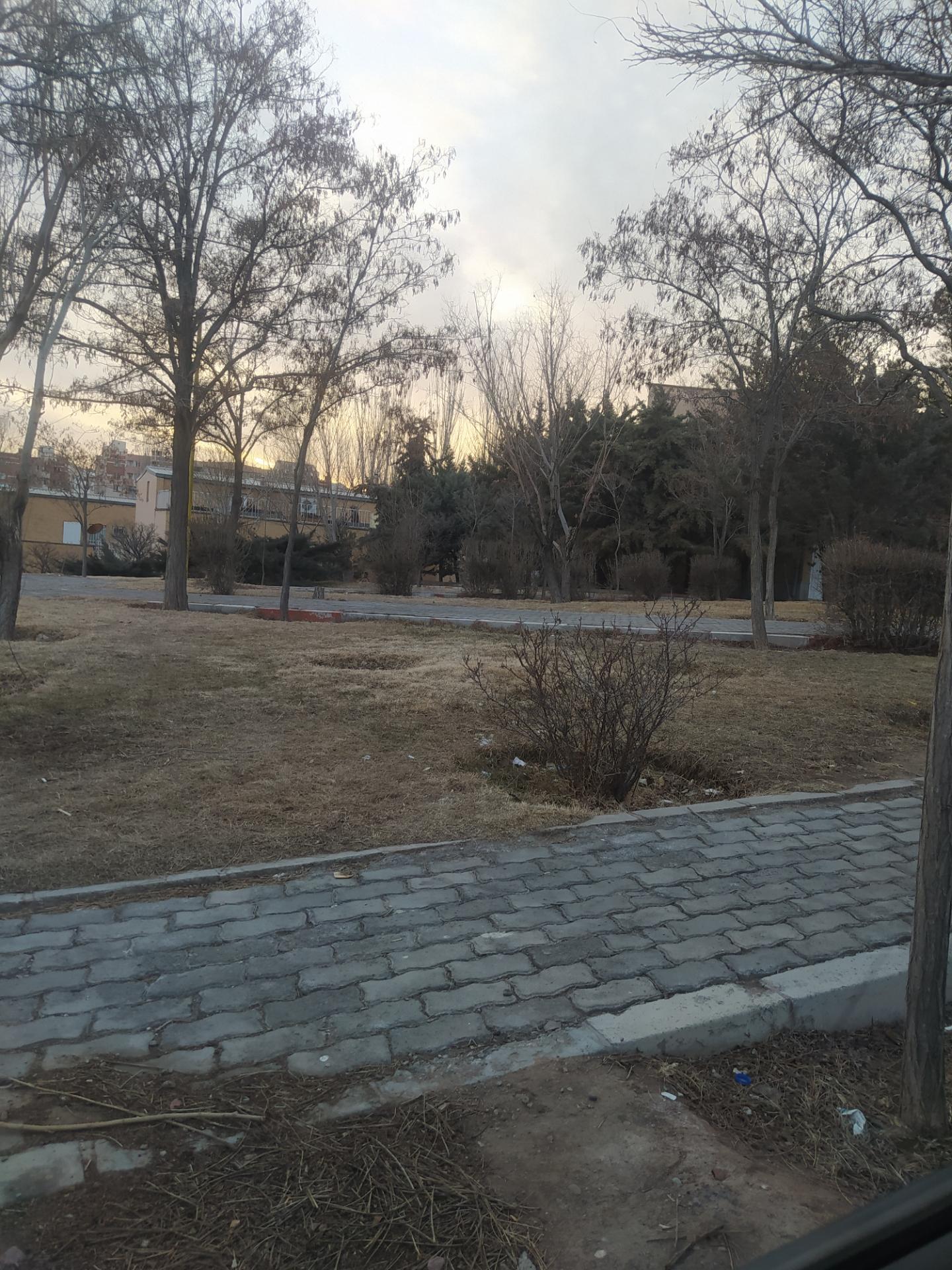 عکس پارک ساره