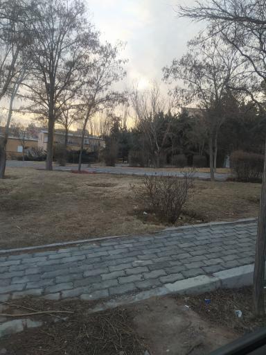 عکس پارک ساره