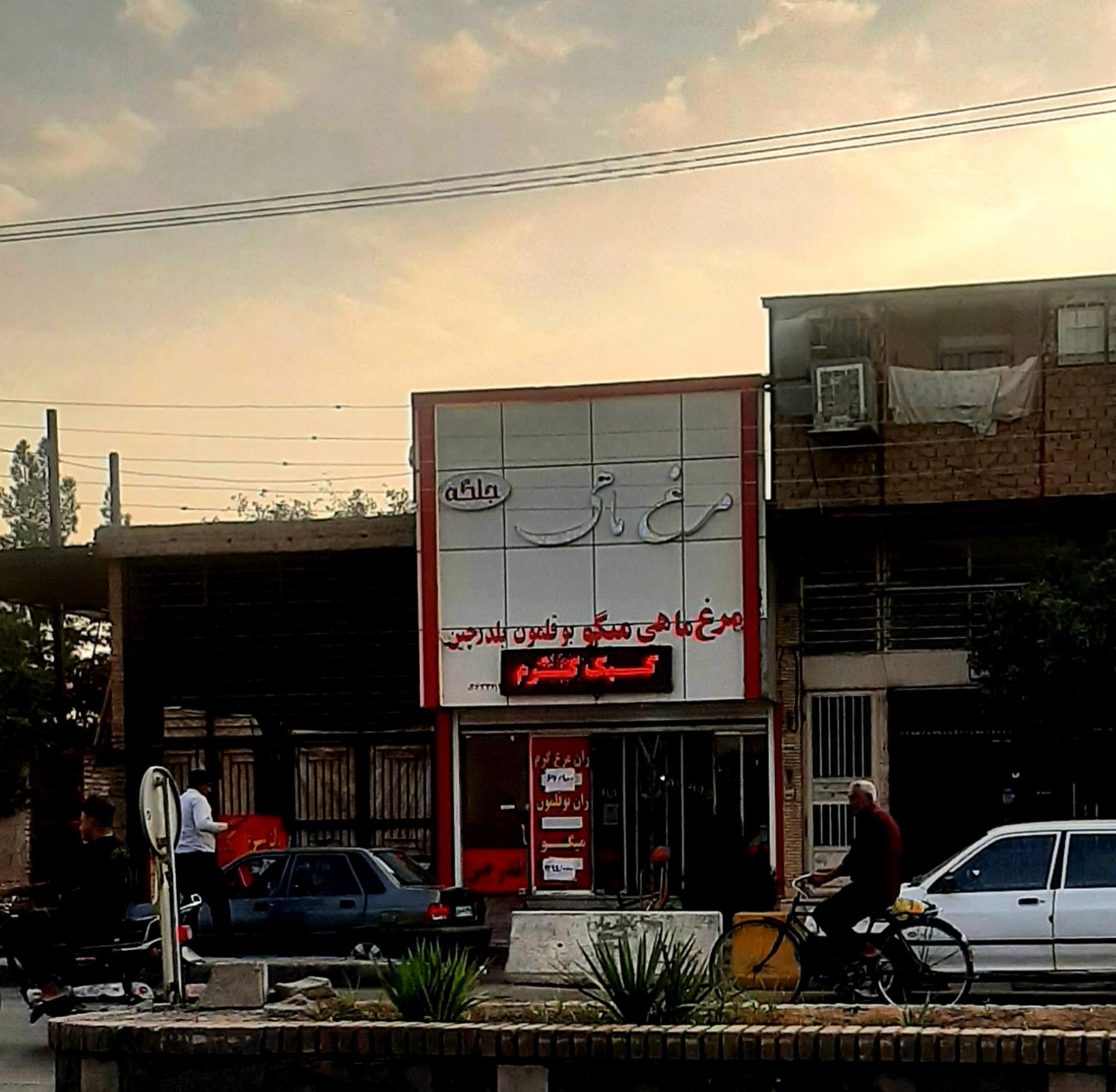 عکس مرغ و ماهی جلگه