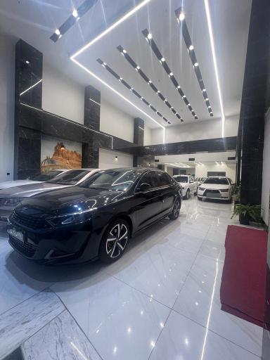 عکس نمایشگاه اتومبیل الماس