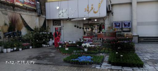 عکس گل فروشی فرهاد