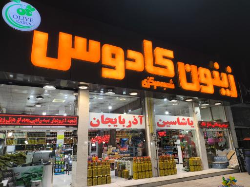 عکس زیتون کادوس