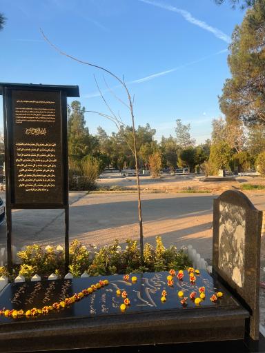 عکس آرامگاه امیرعلی فیروزی پاریزی