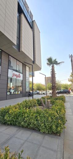 گالری آرتین نمایندگی  کی دبلیو سی شودر