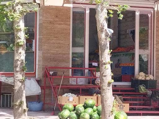 عکس میوه سرای شایان