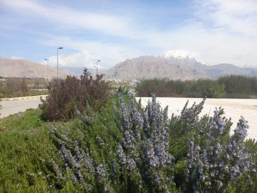 عکس ایستگاه قطار کرمانشاه