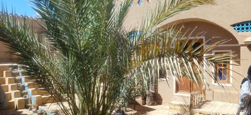 عکس اقامتگاه بومگردی کلهر