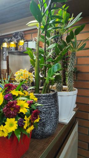 عکس کافه دل