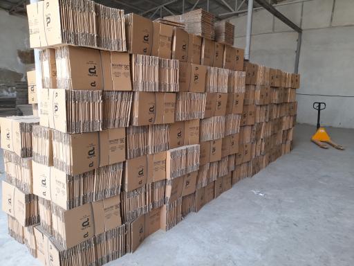 عکس کارتن سازی آریو